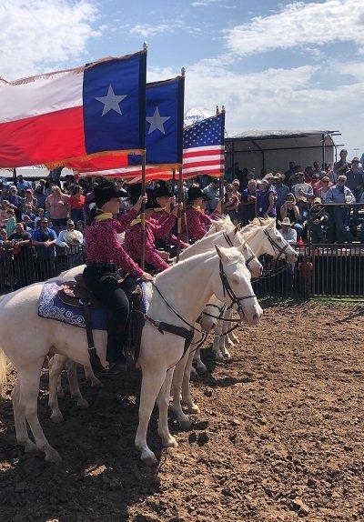 The Six White Horses lined up to ride.